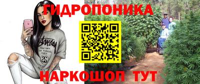 spice Рыбинск